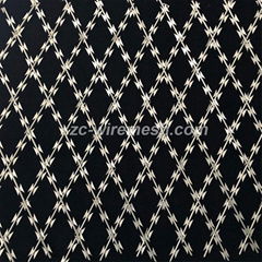 Special-Shaped Blade Pricking Welded Razor Wire Mesh