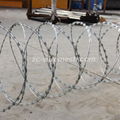 Razor Wire