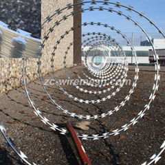 Single Coil Razor Wire