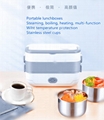Multi Electric heating lunchbox 3