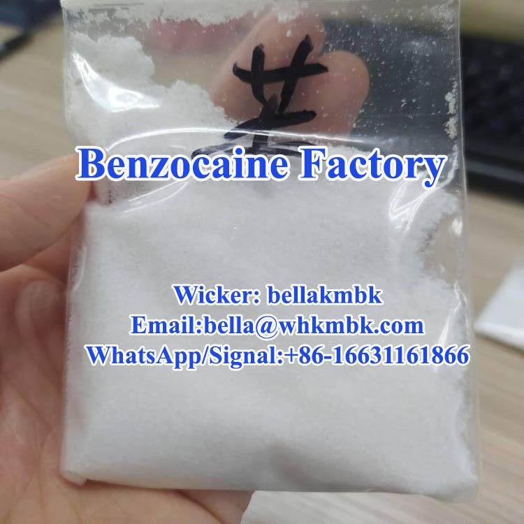 USP Bp Grade Benzocaine Base Powder 100% Pass Safe Delivery to Door 3