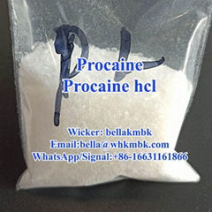 Factory CAS 59-46-1 Procaine Base / Procaine Powder Manufacture Price
