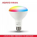 Smart LED downlights wholesale 12W, BR30 WiFi, living room downlights custom