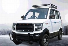 Electric four-wheeled vehicle, new energy electric vehicle, adult petrol-electri