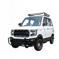 Electric four-wheeled vehicle, new energy electric vehicle, adult petrol-electri 2