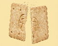 graham crackers 3