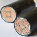 Power cable 1