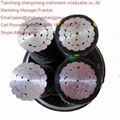 Aluminum alloy electric power cable 1