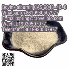 CAS 9048-46-8 Bovine albumin with top quality and fast delivery +8619930507977