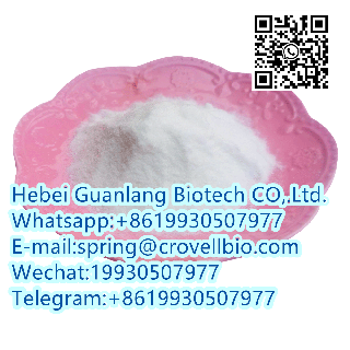 N-METHYLBENZAMIDE CAS 613-93-4 factory offer high quality +8619930507977