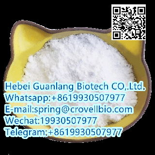 N-METHYLBENZAMIDE CAS 613-93-4 factory offer high quality +8619930507977 3
