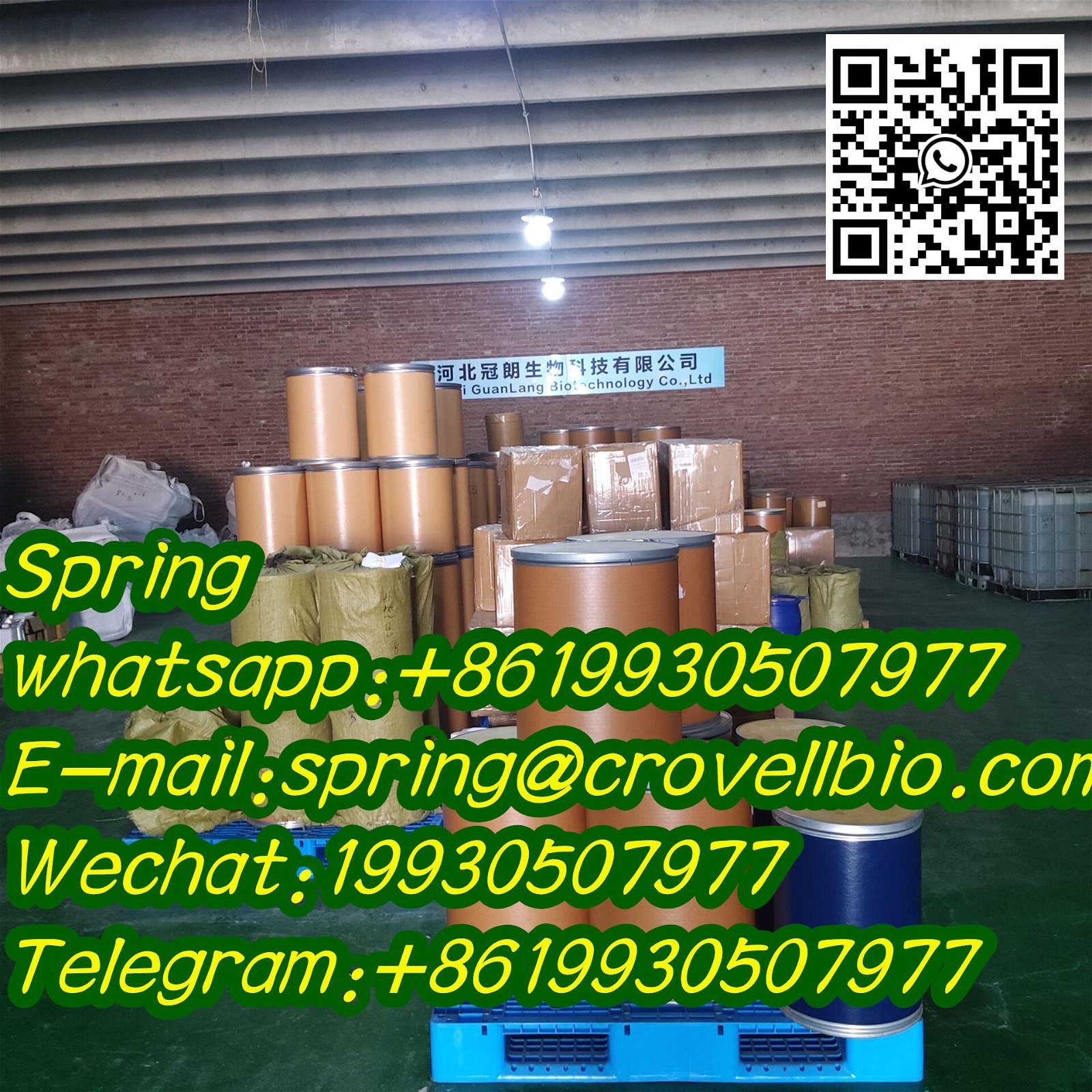 N-METHYLBENZAMIDE CAS 613-93-4 factory offer high quality +8619930507977 4