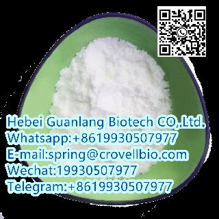 N-METHYLBENZAMIDE CAS 613-93-4 factory offer high quality +8619930507977 5