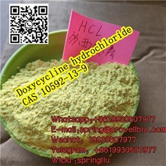 APIs Doxycycline Hcl Cas 10592-13-9 Manufacturer offer +8619930507977