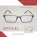 Optical glasses