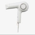 electronic hair dryer