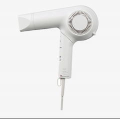 electronic hair dryer