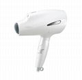 electronic hair dryer