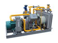 E-type Hydrogen Gas Compressor 1