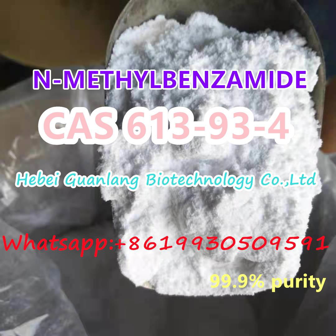 CAS:613-93-4 N-METHYLBENZAMIDE professional manufacture whatsapp:+8619930509591 3