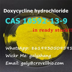 CAS:10592-13-9 Doxycycline hydrochloride supplier in China whatsapp:+86199305095