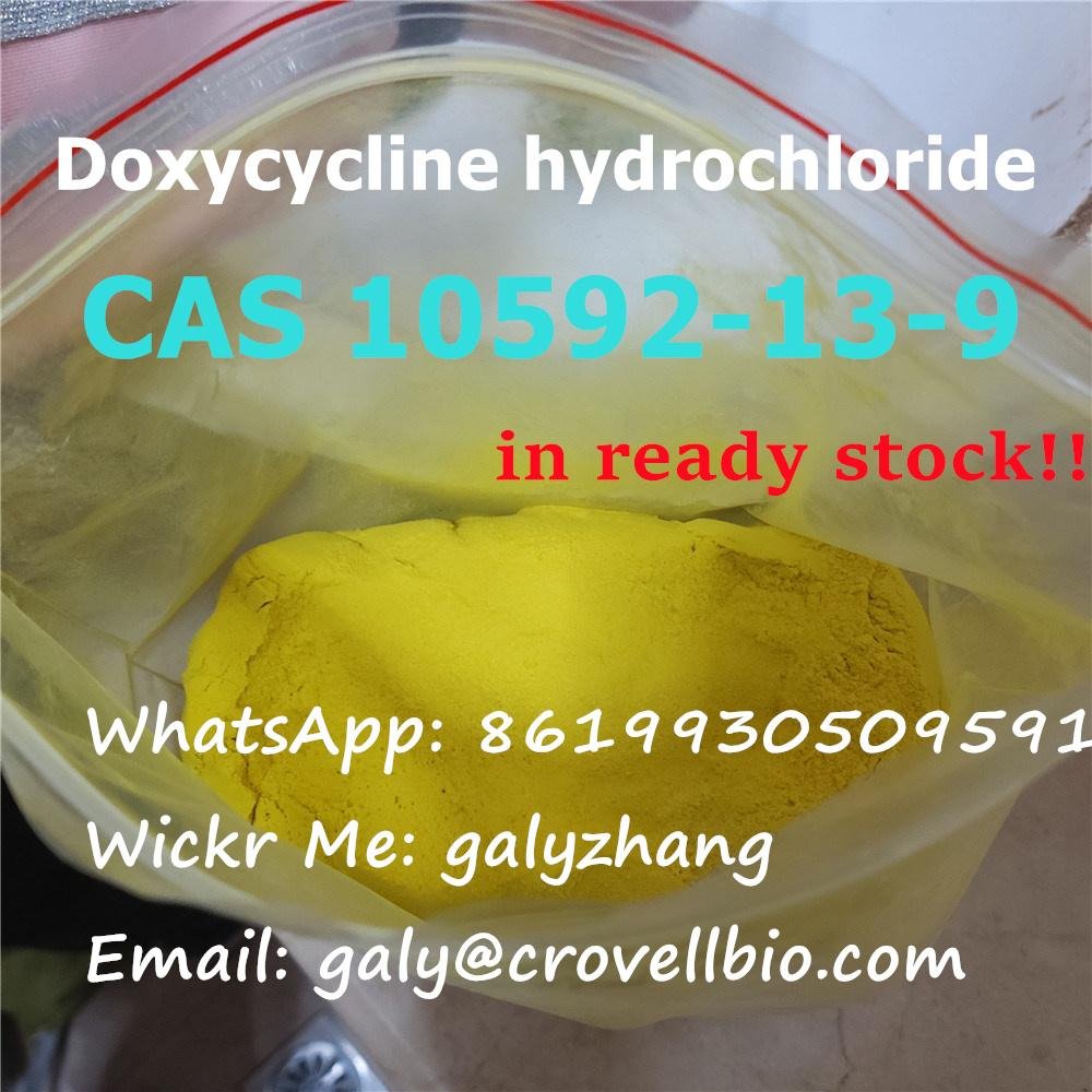 CAS:10592-13-9 Doxycycline hydrochloride China factory whatsapp:+8619930509591 3