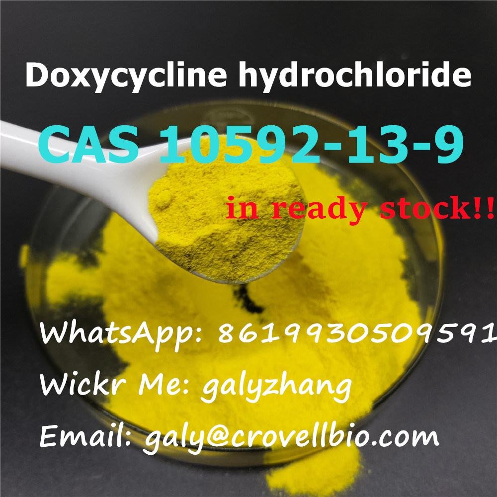 CAS:10592-13-9 Doxycycline hydrochloride China factory whatsapp:+8619930509591 4