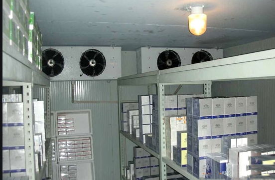 2~8℃ cold storage room for fruit and vegetable 2