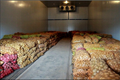 2~8℃ cold storage room for fruit and vegetable 4