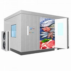 -18~-25℃ cold storage room for meat and fish