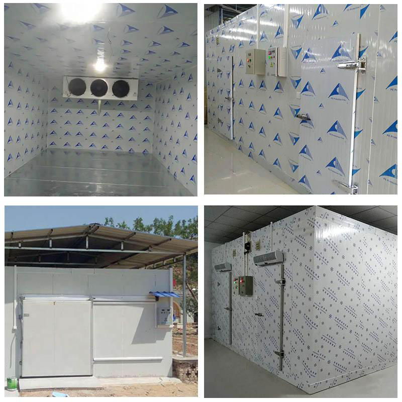 -18~-25℃ cold storage room for chicken 4