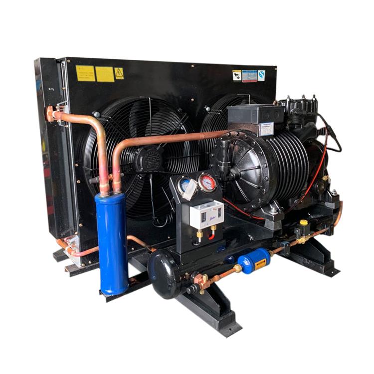 CA-0300 Copeland refeigeraion condensing unit for sale 3