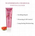 JMD Watermelon Charcoal Purifying Cleanser Wholesale 2