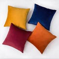 Velvet Cushion Cover 4