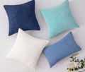 Corduroy Cushion Cover 5