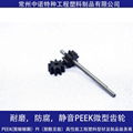 磁力計量泵PEEK材質耐磨齒輪