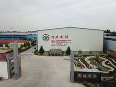 Hebei Annuo Automation Technology Co., Ltd.