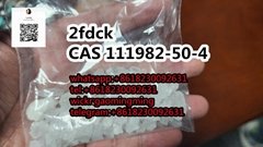 CAS 111982-50-4  Factory supply