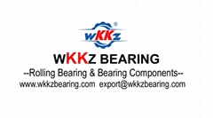 WKKZ BEARING COMPANY WKKZ BEARING COMPANY