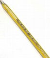 Veterinary thermometer