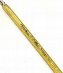 Veterinary thermometer