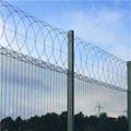 Concertina Wire   concertina wire border    military concertina wire    4