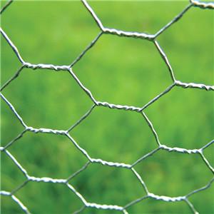 Hexagonal Wire Mesh     hexagonal mesh     hexagonal gabion box 3