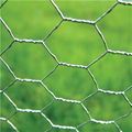 Hexagonal Wire Mesh     hexagonal mesh     hexagonal gabion box 3