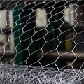 Hexagonal Wire Mesh     hexagonal mesh     hexagonal gabion box 4