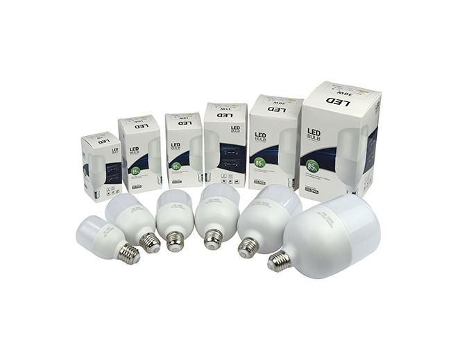 LED Bulb Light