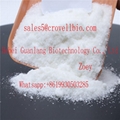 Procaine base/ Procaine hcl CAS 59-46-1 factory supply +8619930503285 1