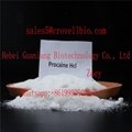 Procaine base/ Procaine hcl CAS 59-46-1 factory supply +8619930503285 3