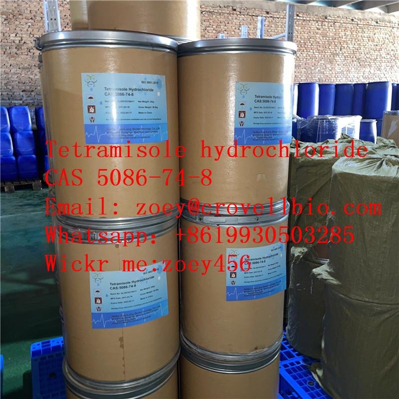 100% Customs clearance Tetramisole hydrochloride CAS 5086-74-8 Factory supply  z