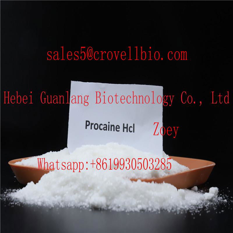 Procaine base/Procaine hcl China factory supplier low price +8619930503285